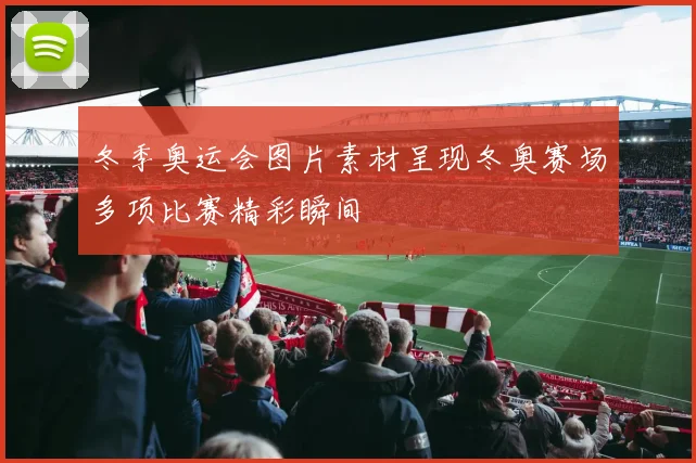 冬季奥运会图片素材呈现冬奥赛场多项比赛精彩瞬间