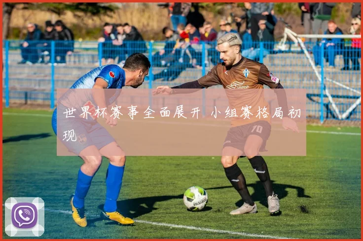 世界杯赛事全面展开 小组赛格局初现