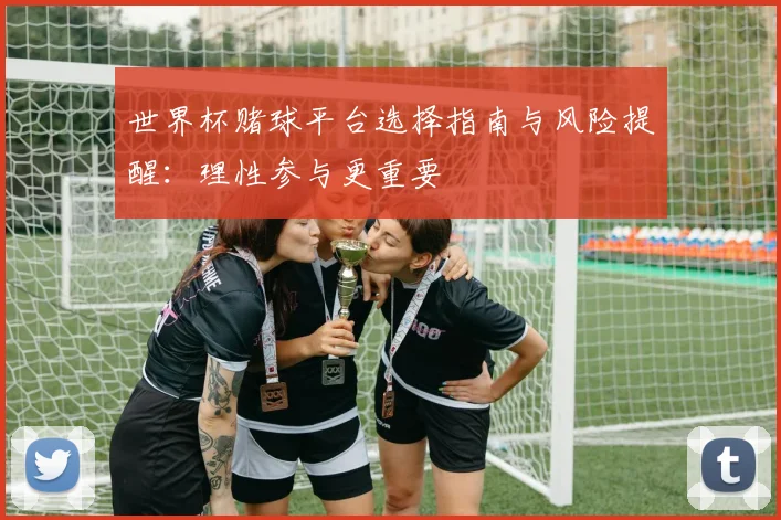 世界杯赌球平台选择指南与风险提醒:理性参与更重要