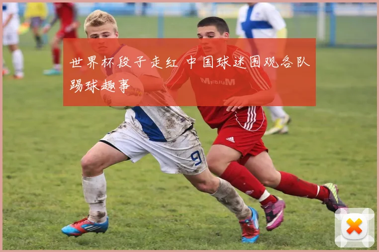 世界杯段子走红 中国球迷围观各队踢球趣事