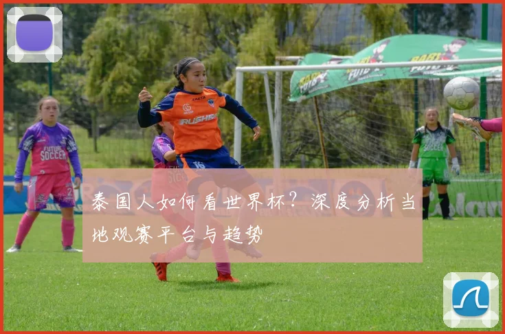 泰国人如何看世界杯?深度分析当地观赛平台与趋势