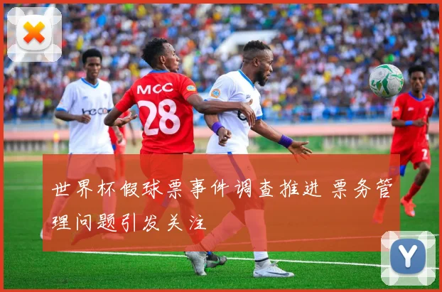 世界杯假球票事件调查推进 票务管理问题引发关注