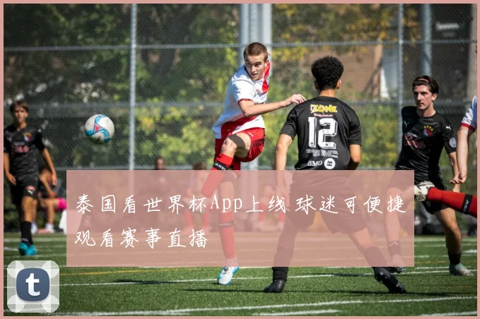 泰国看世界杯App上线 球迷可便捷观看赛事直播