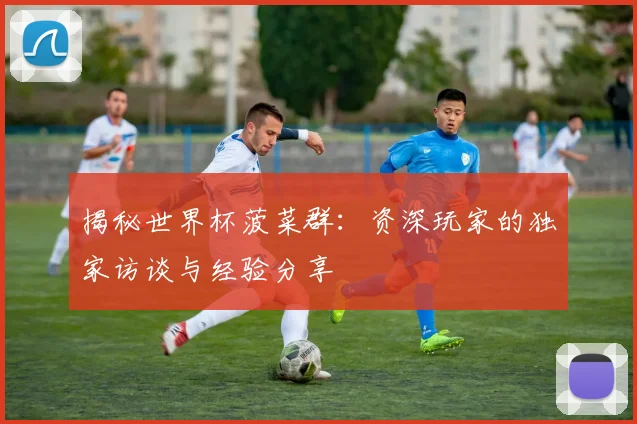 揭秘世界杯菠菜群:资深玩家的独家访谈与经验分享