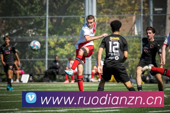 App Interface Preview